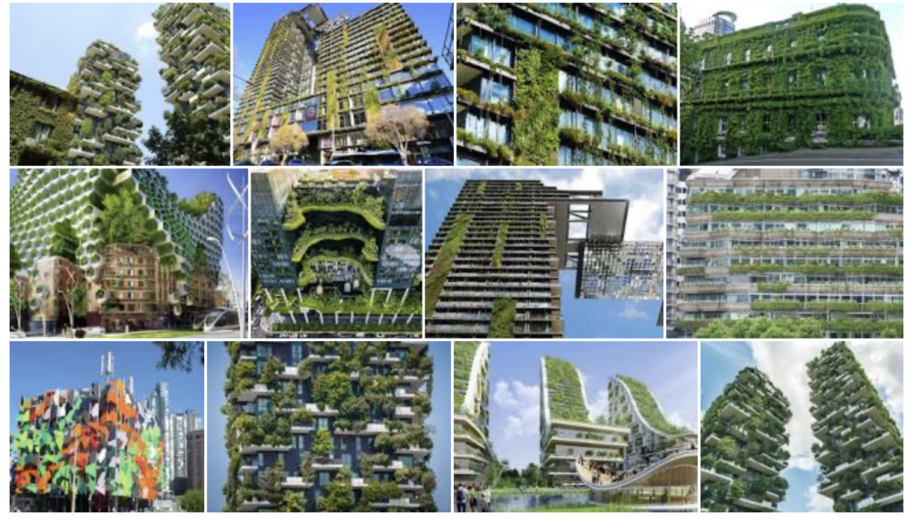 Green Buildings – Cloth In Common